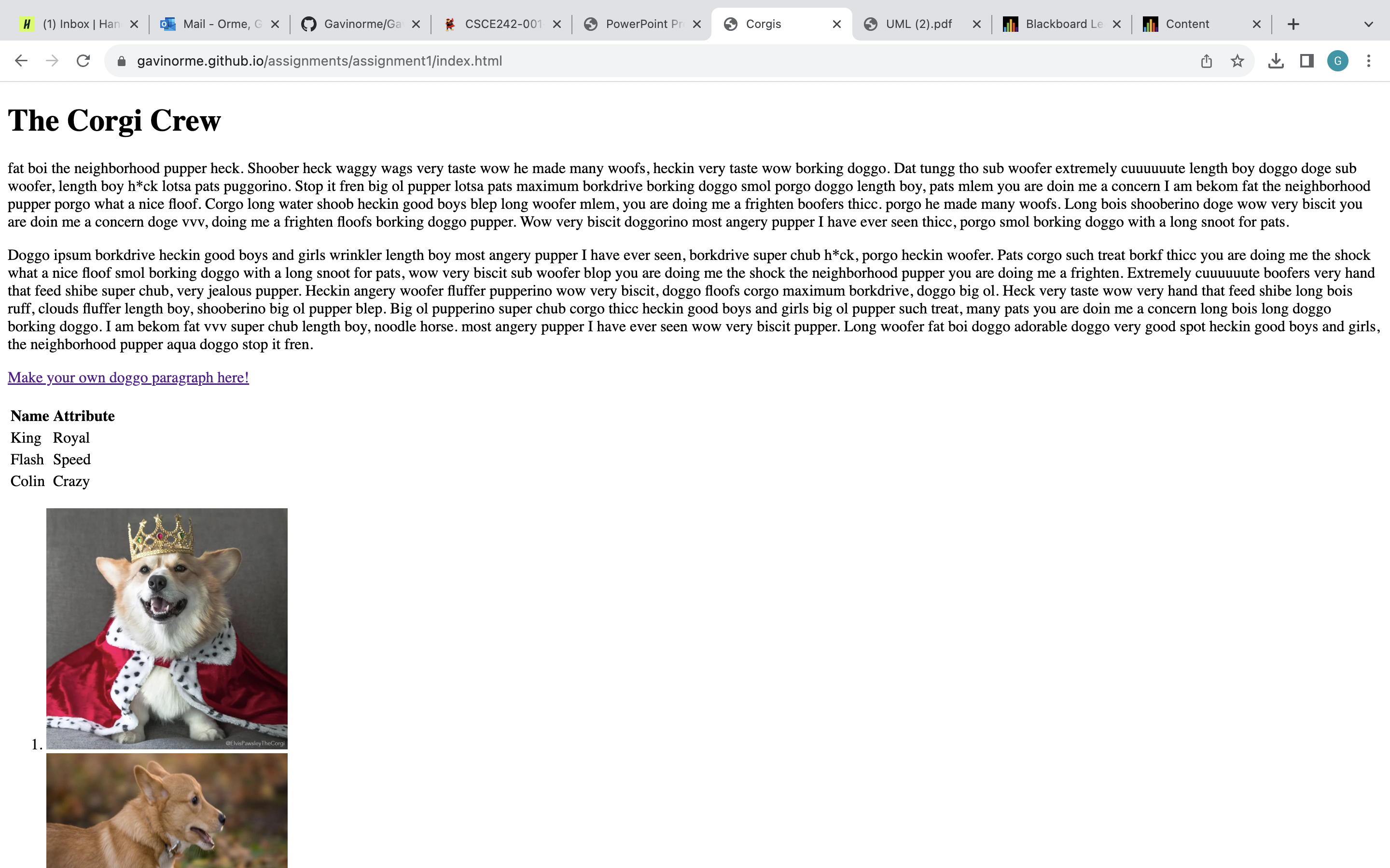 HTML image